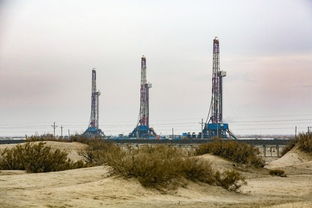 中国石油再获高效发现成果 新疆玛湖单井日产油首破400方
